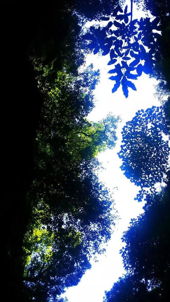 召唤神龙万宁版祖龙